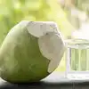 fact check is it ok to drink coconut water on empty stomach know from