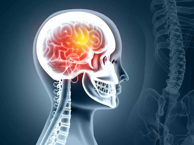 5. brain friend 5. brain friend