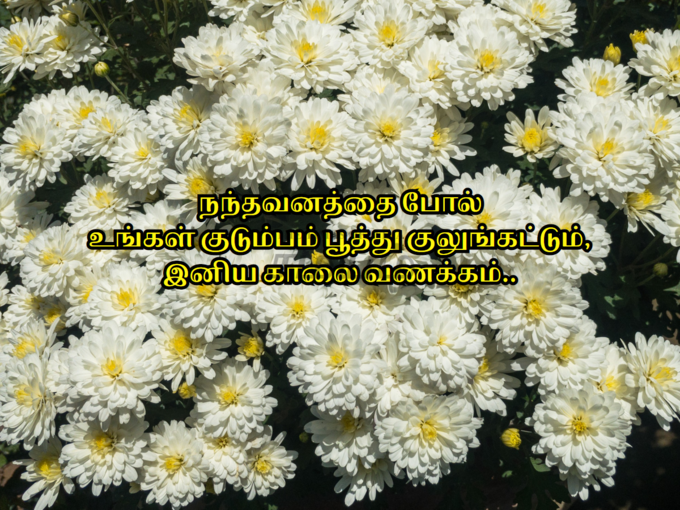 இனிய காலை வணக்க படங்கள்..