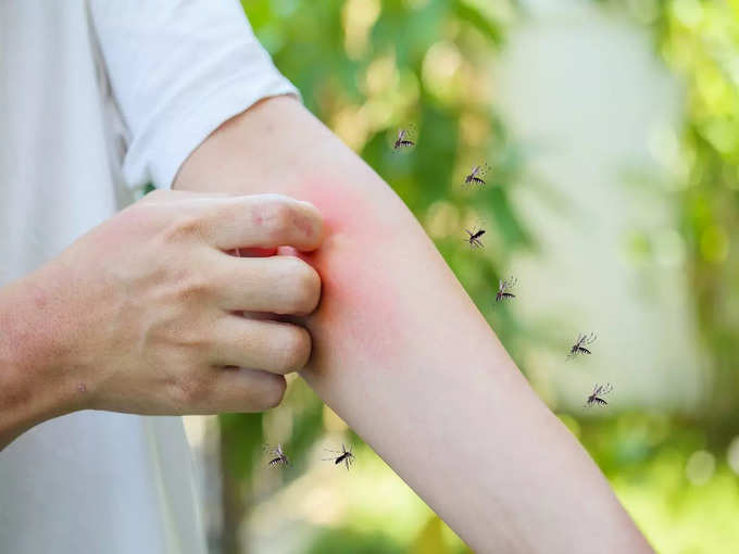 मच्छरों से होने वाली बीमारियां (Mosquito-Borne Diseases)