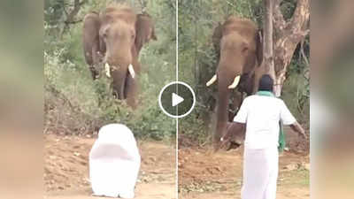 Hathi Ka Video: सड़क किनारे हाथी दिखा तो पास जाकर करने लगा प्रणाम, गजराज ने जो किया वह देख IFS ने की तारीफ