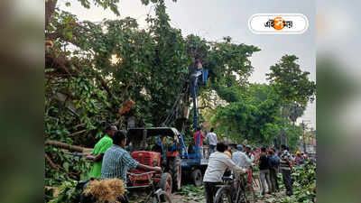 Storm In West Bengal : মোকা নিয়ে চর্চার মধ্যে ১০ মিনিটের ঝড়! লণ্ডভণ্ড বালুরঘাটের একাংশ