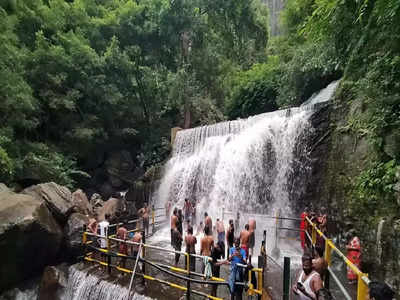 இனி ஜாலியாக குளியல் போடலாம்; மீண்டும் திறக்கப்பட்ட சுருளி அருவி... சுற்றுலா பயணிகள் ஹேப்பி!