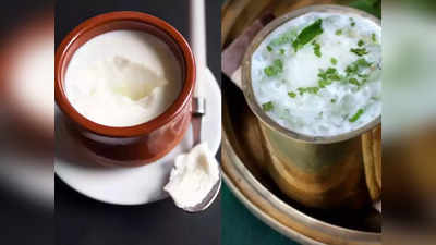 curd vs Buttermilk :​வெயிலுக்கு தயிரா இல்ல மோரா, அட தெரிஞ்சுக்கிட்டு சாப்பிடுங்க!​