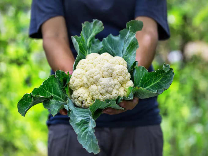 1.  Cabbage, cauliflower can be found