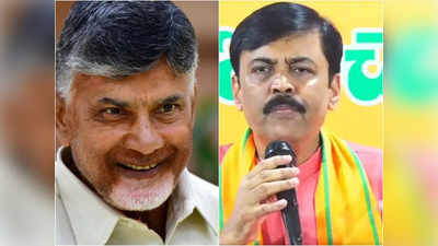 GVL Narasimha Rao: టీడీపీతో పొత్తు విషయాన్ని అధినాయకత్వం దృష్టికి తీసుకెళ్లాం.. జీవీఎల్ కీలక వ్యాఖ్యలు 