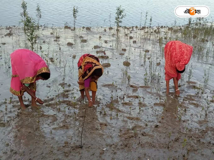 ​২০ মাসের পরিশ্রম​