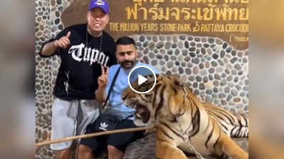 Tiger Scared Tourists: टाइगर के साथ फोटो खिंचवा रहे थे टूरिस्ट, मारी दहाड़ तो जान बचाकर भागने पर हुए मजबूर!