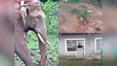 അരിക്കൊമ്പൻ തമിഴ്നാട്ടിൽ റേഷൻ കട ആക്രമിച്ചു; ജനൽ കുത്തിത്തകർത്തു; അരി എടുക്കാനായില്ല