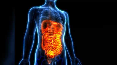 Digestive Disorders : உடம்புல இருந்த பிரச்னை எல்லாம் இருக்குறதால கூட... செரிமான கோளாறு வரலாம்