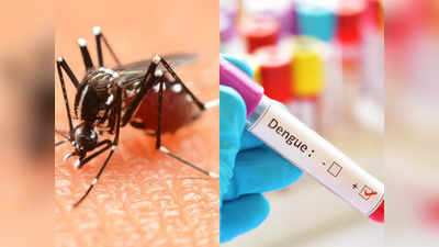 dengue fever : டெங்கு வந்தவர்கள் அதிலிருந்து வேகமாக மீள சாப்பிட வேண்டிய 8 உணவுகள் என்னென்ன...