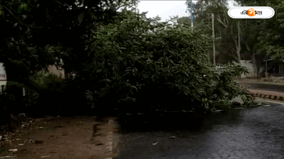 Durgapur Thunderstorm : মাত্র আধণ্টার প্রাকৃতিক দুর্যোগ! তাতেই লণ্ডভণ্ড অভিষেকের সভাস্থল
