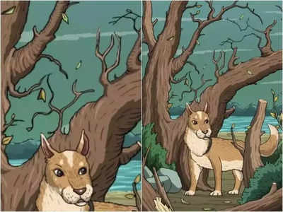 Optical Illusion Image: इस तस्वीर में कुत्ता तो सबको दिख रहा है, अगर बिल्ली ढूंढ ली तो चीते हो आप