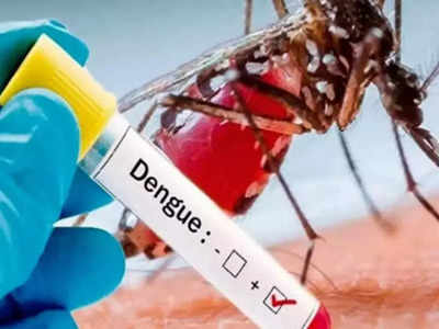 World Dengue Day 2023 : டெங்கு காய்ச்சல் சரி செய்யும் ஆயுர்வேத மூலிகைகள், பலன் கிடைக்க எப்படி எடுக்கணும்?