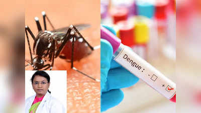 World Dengue Day 2023 : டெங்கு காய்ச்சல் வேகமாக குணமாக்கும் இரண்டு எதிர்ப்பு சக்தி மூலிகைகள், டாக்டர் குறிப்பு!