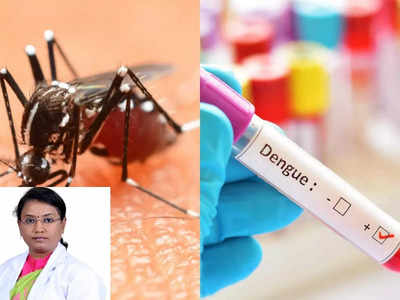 World Dengue Day 2023 : டெங்கு காய்ச்சல் வேகமாக குணமாக்கும் இரண்டு எதிர்ப்பு சக்தி மூலிகைகள், டாக்டர் குறிப்பு!