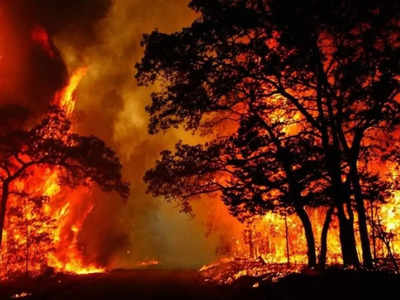 सावधान! भीषण गर्मी में फिर धधक सकते हैं जंगल... उत्तराखंड में वन विभाग ने लोगों को किया अलर्ट