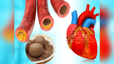 Foods To Unclog Arteries: नसों में भरी कोलेस्ट्रॉल जैसी सारी गंदगी निकाल देंगी ये 5 चीजें, दिल बनेगा मजबूत