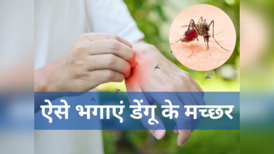 डेंगू के मच्छर घर में घुसकर बना सकते हैं आपको अपना शिकार, इन 5 उपायों से Dengue Mosquitos की एंट्री करें बैन