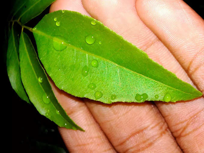 ಬೇವಿನ ಪೇಸ್ಟ್ ಮತ್ತು ಹಸಿ ಟೊಮೆಟೊ 