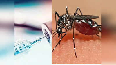 Dengue Vaccine: डेंगू के टीके पर ICMR ने दे दी अपडेट, क्यों हो रही देरी? सब जानिए