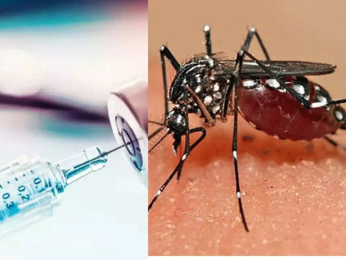 dengue vaccine news