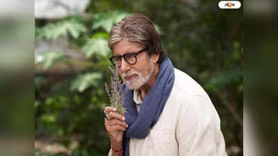 Amitabh Bachchan: ট্রোলিংয়ের জন্য আপনাদের ধন্যবাদ..., নেটিজেনদের কটাক্ষের কড়া জবাব অমিতাভের