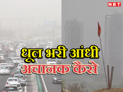 दिल्ली के आसमान में कैसे बना गर्मी, अंधड़, धूल का कॉकटेल, जानिए साइंटिस्ट क्या बता रहे