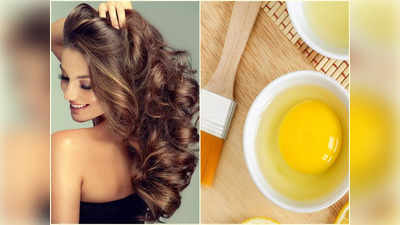 Eggs For Hair: ডগাচেরা ঝারুর মতো চুলেও লাগবে জেল্লা, ঘরে তৈরি ডিমের হেয়ার মাস্ক কোন নিয়মে লাগাতে হবে?