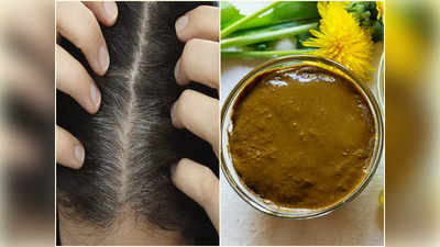 Henna For Gray Hair: পাকা চুল ঢাকা পড়বে চুটকিতেই! চুল কালো করতে হেনার সঙ্গে কী মিশিয়ে মাথায় লাগাবেন জানুন