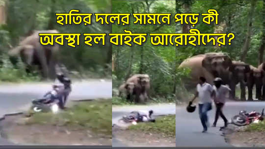 two bike riders goes among the wild elephants near siliguri sukna video goes viral