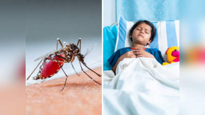 मुलांना Dengue ची लागण झाल्यास, घरगुती उपायांसह अशी घ्या काळजी