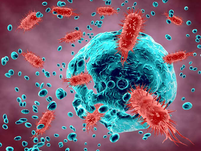 2. Bacterial killer 2. Bacterial killer