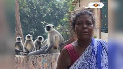 Hooghly News : গ্রামজুড়ে তাণ্ডব, ঘর থেকে বেরোতে ভয়ে কাঁপছেন গ্রামবাসীরা! হুগলির গ্রামে তুলকালাম