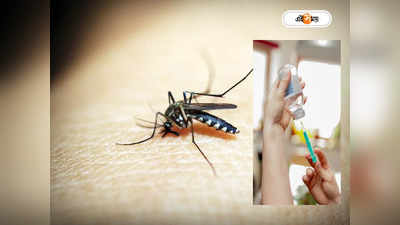 Dengue Vaccine: চলতি বছরের শেষেই মিলবে ডেঙ্গি ভ্যাকসিন? শুরু হচ্ছে তৃতীয় পর্যায়ের ট্রায়াল