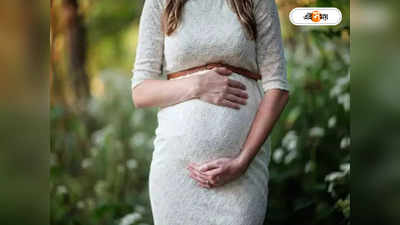 Maternity Leave : মাতৃত্বকালীন ছুটি ৬ থেকে ৯ মাস করা হোক, প্রস্তাব নীতি আয়োগের