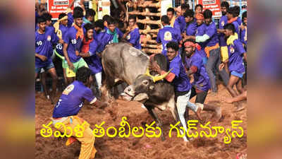 Jallikattu: జల్లికట్టు విషయంలో తమిళ తంబీలకు సుప్రీంకోర్టు గుడ్‌న్యూస్, స్టాలిన్ సర్కార్‌కు భారీ ఊరట