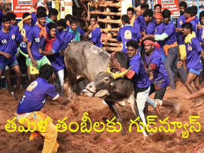 Jallikattu: జల్లికట్టు విషయంలో తమిళ తంబీలకు సుప్రీంకోర్టు గుడ్‌న్యూస్, స్టాలిన్ సర్కార్‌కు భారీ ఊరట