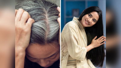Shikakai Hair Benefits: पांढऱ्या केसांना पुन्हा काळेपणा मिळवून देईल ही जडीबूटी, केसगळती विसरून जाल
