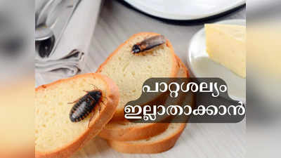 ​ഇവ ചെയ്താല്‍ വീട്ടില്‍ നിന്നും പാറ്റയെ പടികടത്താം​