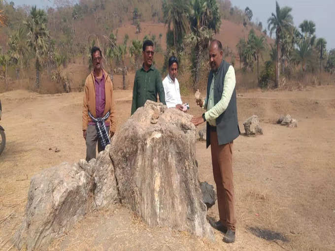 Fossils in Sahebganj