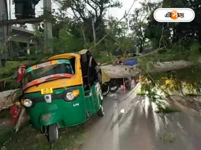 Kalbaisakhi in North 24 Parganas : কালবৈশাখীর তাণ্ডব, অটোর উপর গাছ ভেঙে বন্ধ যান চলাচল! নাকাল বাড়িমুখী অফিসযাত্রীরা