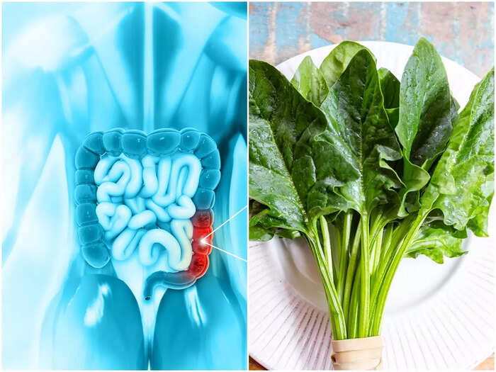 Gut Health: These 5 food mantras will keep the gut happy! Conspiracy of gas, acidity will kill in the field Gut Health: These 5 food mantras will keep the gut happy! Conspiracy of gas, acidity will kill in the field
