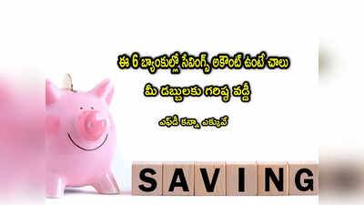 Savings Account: సేవింగ్స్ ఖాతాతోనే ఎక్కువ వడ్డీ కావాలా? ఈ 6 బ్యాంకులపై ఓ లుక్కేయండి..!