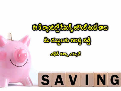 Savings Account: సేవింగ్స్ ఖాతాతోనే ఎక్కువ వడ్డీ కావాలా? ఈ 6 బ్యాంకులపై ఓ లుక్కేయండి..!