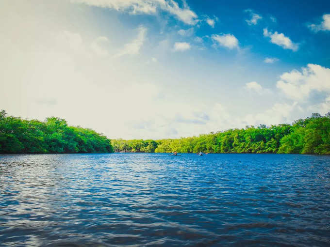 ಕಾವೇರಿ ವನ್ಯಜೀವಿ ಅಭಯಾರಣ್ಯ