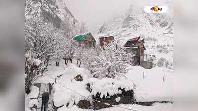 Himachal Pradesh Snowfall: প্রবল তুষারপাতে বন্ধ লাহুল-স্পিতি, হিমাচলে উদ্ধার শতাধিক পর্যটক