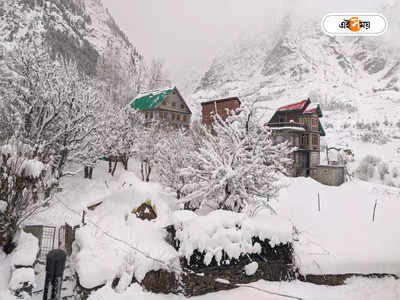 Himachal Pradesh Snowfall: প্রবল তুষারপাতে বন্ধ লাহুল-স্পিতি, হিমাচলে উদ্ধার শতাধিক পর্যটক