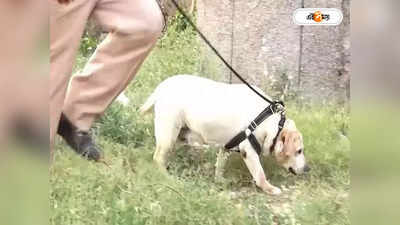 Punjab Police Dog Simmy : ক্যান্সারকে কাবু করে ফিরল পাঞ্জাবের ফাইটার সিম্মি