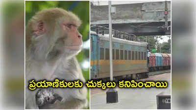 Kakinada: కోతి కారణంగా నిలిచిపోయిన రైళ్ల రాకపోకలు.. ప్రయాణికులకు తీవ్ర ఇక్కట్లు